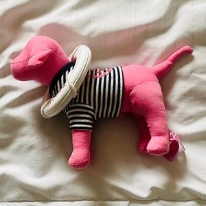 VS PINK Dog